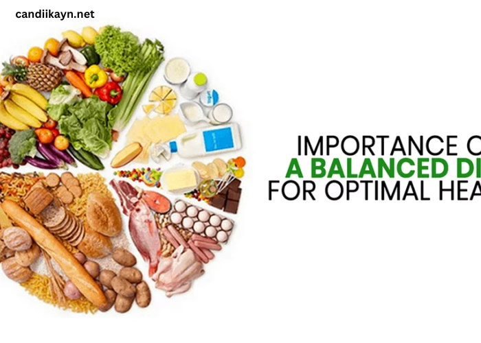 Balanced Nutrition Boost Your Health and Wellness